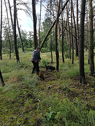 Double Glow Faledo na barv�