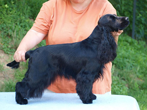 Athina's Product Liberty Song