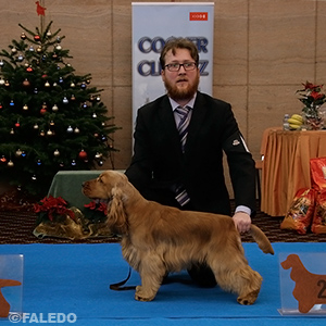 Dustin z Ořechového vrchu