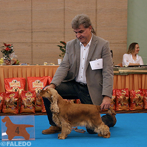 Honey Hanny z Petrovy pálenky