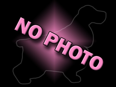 no photo